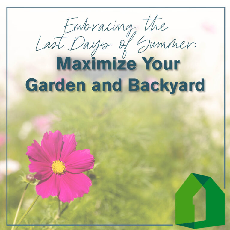 Embrassant les derniers jours de l'été : maximisez votre jardin et votre arrière-cour