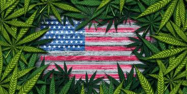米国大麻産業の将来