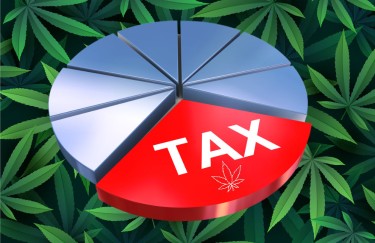 Wohin fließt die Umsatzsteuer für Marihuana?