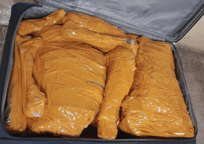 Huesos de león cautivos contrabandeados desde Sudáfrica a Vietnam. Las autoridades interceptaron los huesos en el aeropuerto internacional ORTambo de Johannesburgo en junio.