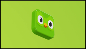 2.6 Milyon Duolingo'dan Kişisel Bilgiler İnternetten 2 Dolara Satılıyor