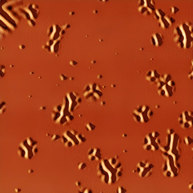 Изображение атомно-силовой микроскопии, показывающее локальные морщины, образующиеся в стеклянном слое.