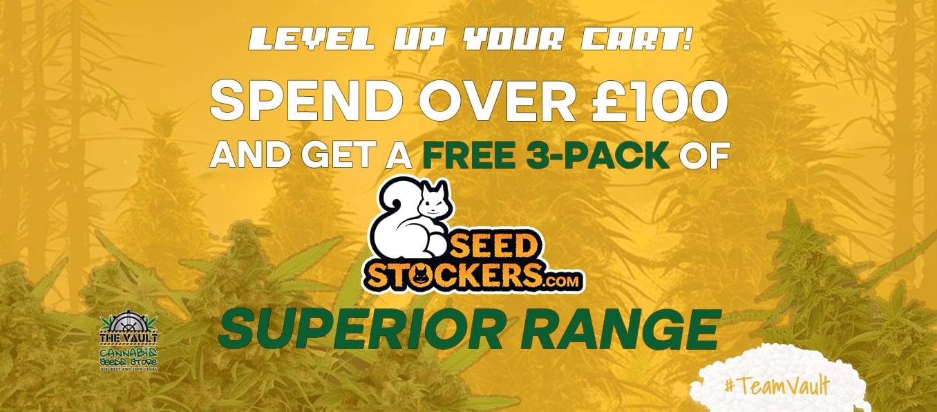 ¡Obtenga 3 Seedstockers Superior Seeds GRATIS con cada compra de más de £ 100!