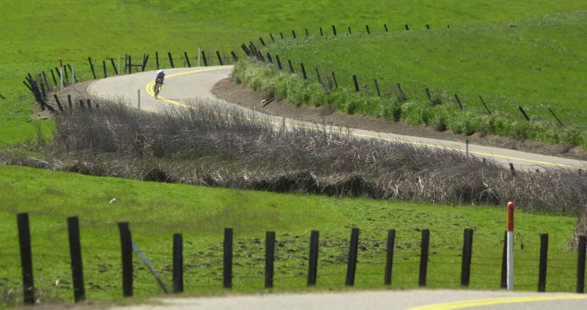 Se ve a una persona en bicicleta doblando una curva en un camino sinuoso bordeado por postes de cerca y pasto verde brillante.