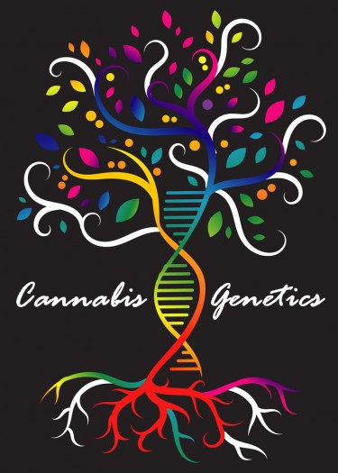 마리화나 종자 유전학은 무엇입니까