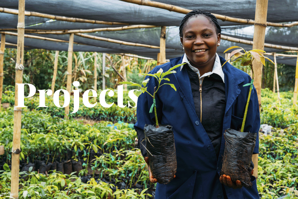 Les 47 projets de boisement et de reboisement carbone en Afrique_un artisan travaillant au Kenya Tree Nursery_visual 1