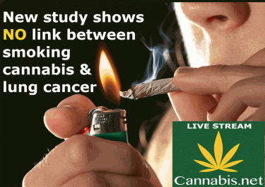 大麻の喫煙と肺がんの間には関連性はない