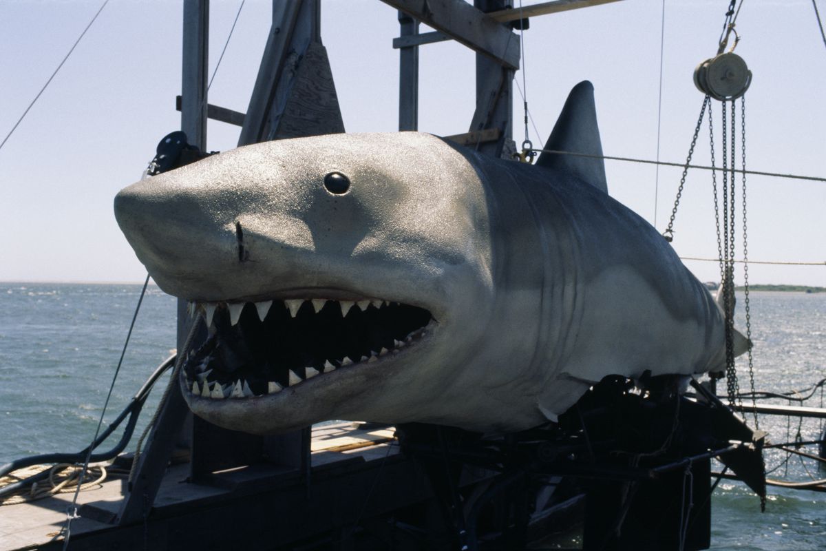 De gigantische mechanische haai uit Jaws 1978 uit 2 hangt met open mond aan een reeks touwen en katrollen op een boot op een persfoto