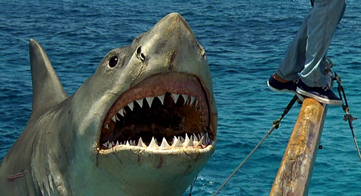 The mechanical shark in Jaws: The Revenge, with visible scars and cuts on its skin, rears up out of the water to attack a victim standing on a ship