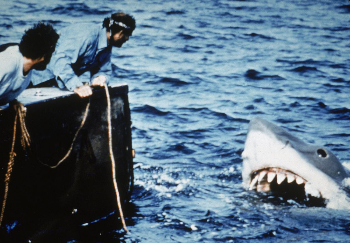 Hooper (Richard Dreyfuss) y Quint (Robert Shaw) se inclinan en la parte trasera de su pequeño barco pesquero, sujetando cuerdas mientras observan a un gran tiburón blanco gigante emerger del agua en una imagen fija de la película Tiburón de 1975, dirigida por Steven Spielberg.