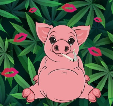 CANNABIS SCHEMA 3 DRUG PIG