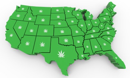 Gevolgen van het herplannen van cannabis