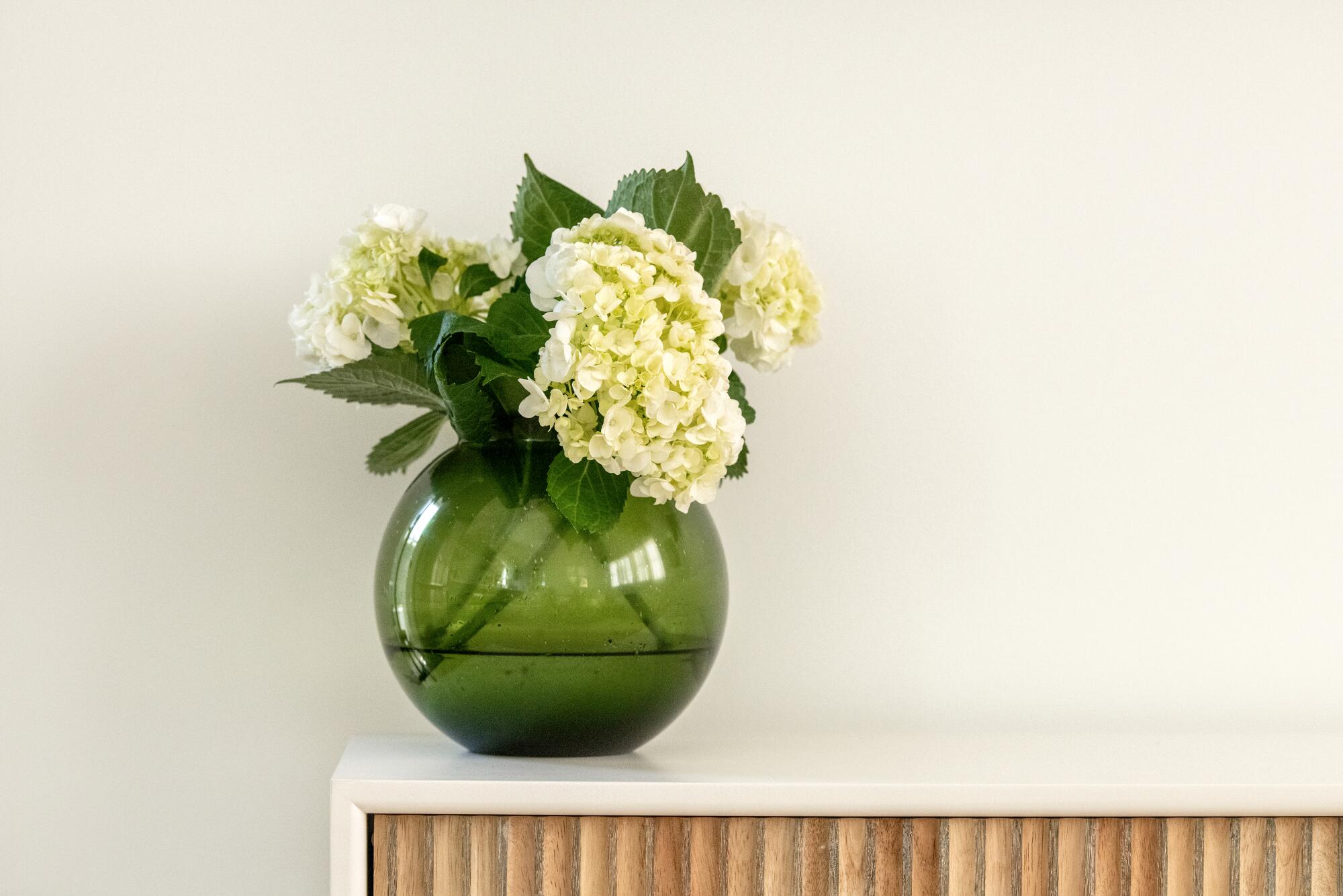 White hydrangeas in a green vase on a credenza.