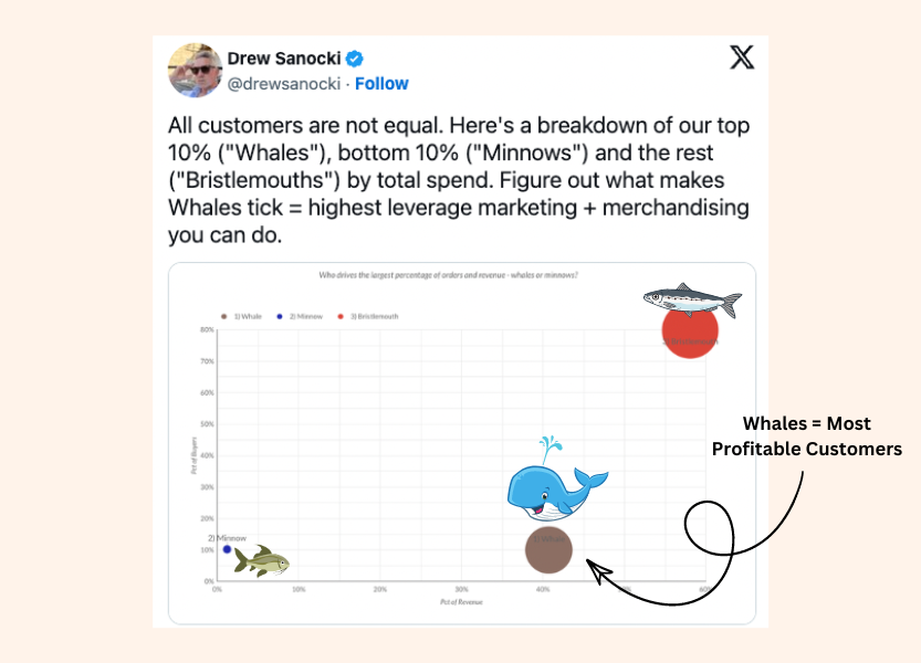 A análise de segmentação de clientes envolve descobrir o que motiva as baleias (seus clientes mais lucrativos).