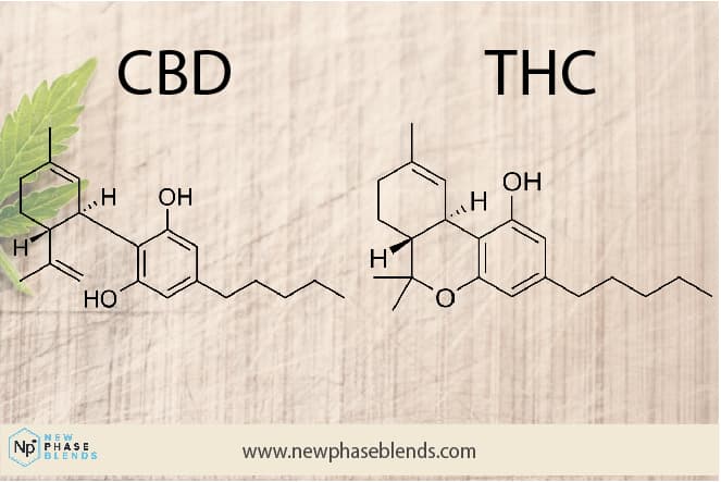 CBD versus Thc