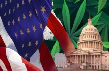 Les projets de marijuana des républicains