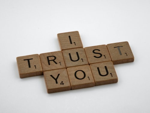 Unsplash Brett Jordan Trust - OSFI's Evolving Focus on Integrity & Security