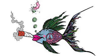 Het reguleren van cannabis zoals vis