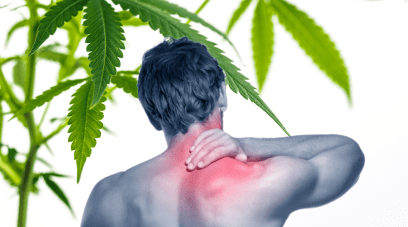 El cannabis reduce el dolor neuropático