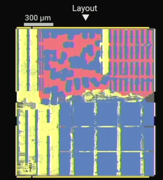 Fig. 7: IBM's North Pole chip, showing intertwined compute (red) and memory (blue). Source: IBM/Hot Chips 2023