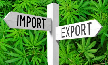 大麻産業の輸出入