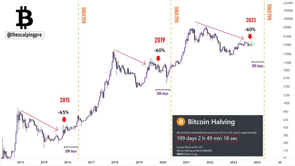 Bitcoin cycles after halving| Source:: thescalpingpro on X 
