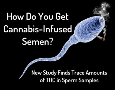 ¿Aparece el THC en el esperma?