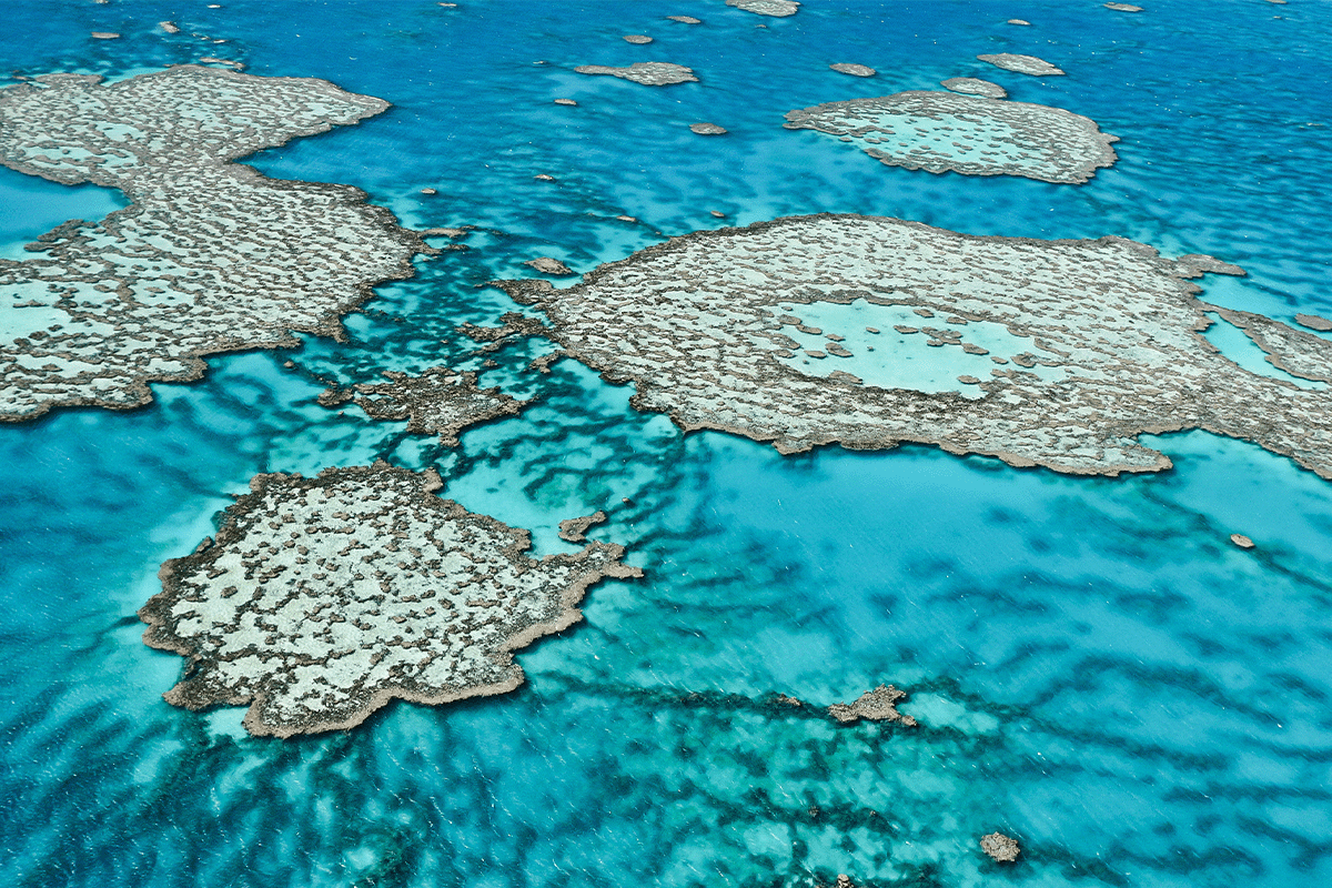 كيف يؤثر فقدان التنوع البيولوجي على النظم البيئية وما يمكننا القيام به للمساعدة_منظر جوي على الحاجز المرجاني العظيم قبالة ساحل كوينزلاند_visual 10