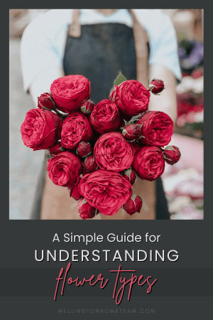 A Simple Guide for Understanding Flower Types