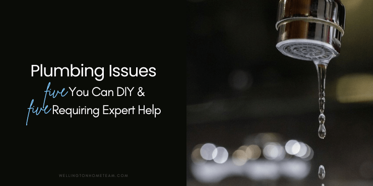 Plumbing Issues: Five You Can DIY and Five Requiring Expert Help