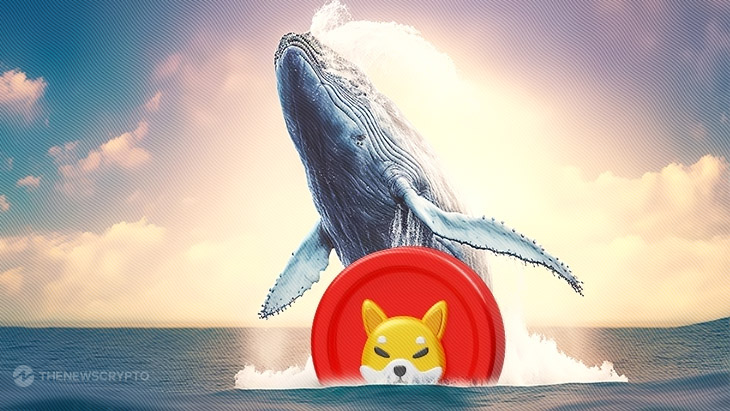 Shiba Inu (SHIB) is getuige van enorme walvisvangst; Bullish?