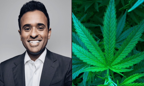 Vivek Ramaswamy's standpunt over cannabis