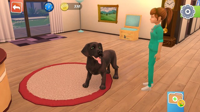 animal hospital review 1