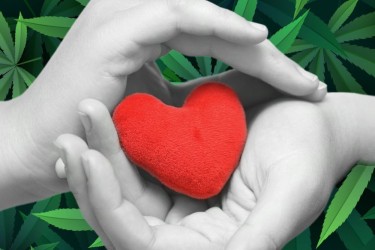 cannabis og empati