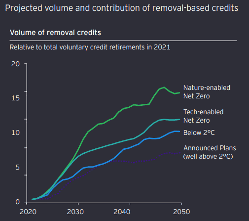 removals carbon credits outlook