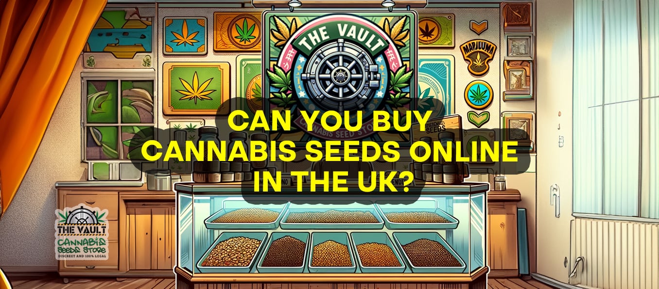 Can You Buy Cannabis Seeds Online In The UK