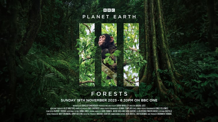 Khu Rừng BBC Tập - 19.11.23