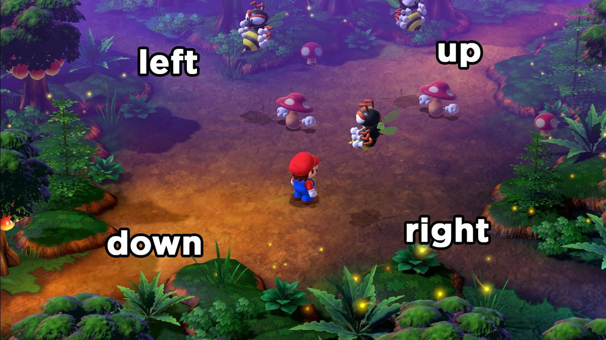 Mario in the Super Mario RPG Forest Maze, with directions labeled.