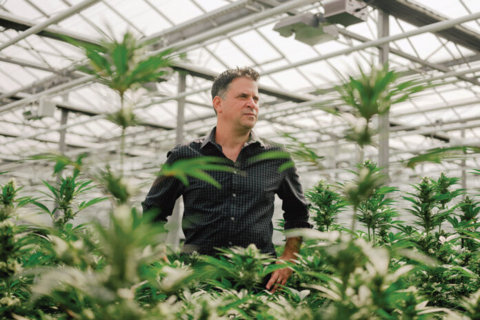 Impianto di coltivazione di cannabis Jason Wild TerrAscend