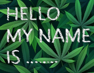¿Cómo se llama una variedad de cannabis?
