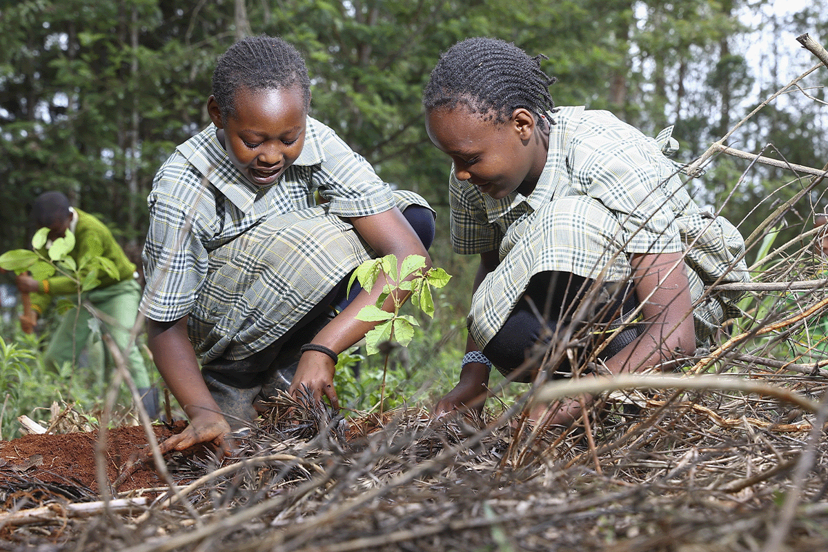 Explorando conceptos clave del mercado de carbono_Alumnos plantando plántulas en una escuela en Kenia_visual 5