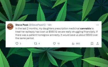 El doloroso coste del cannabis.