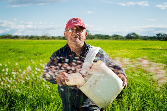 eliasfalla Farmer - Vai trò của các khoản vay vi mô và huy động vốn từ cộng đồng trong việc hỗ trợ nông dân quy mô nhỏ