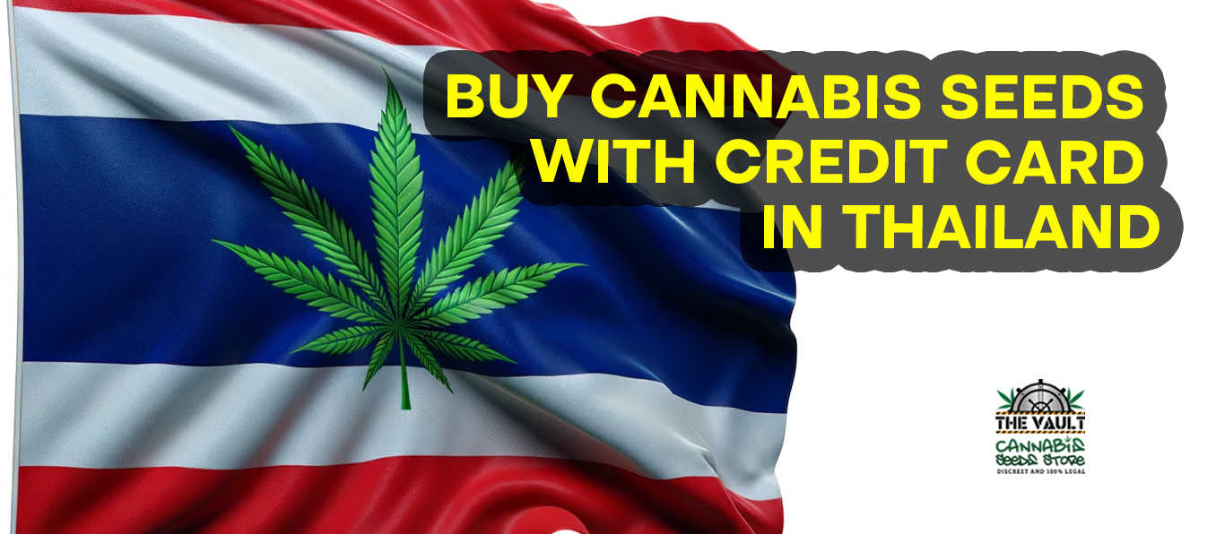 タイでクレジットカードで大麻種子を購入する