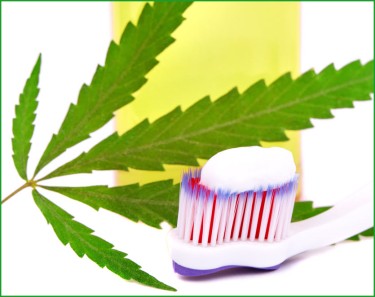 CANNABIS INFUSED TOOTHPASTE