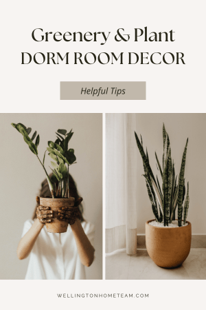 Greenery and Plant Dorm Room Decor