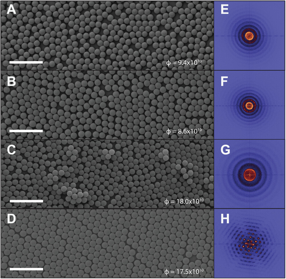 Immagini al microscopio elettronico a scansione (SEM) di monostrati di nanoparticelle (NP) autoassemblate