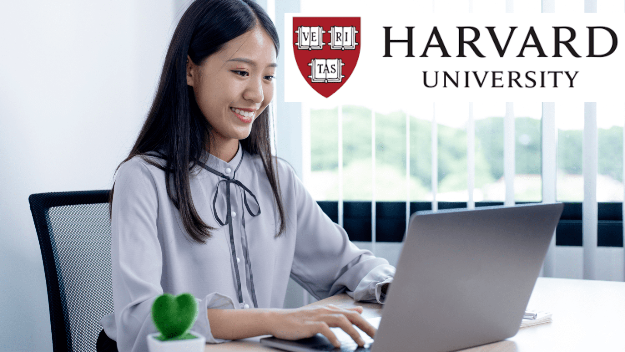Kostenloser Harvard-Kurs: Einführung in KI mit Python