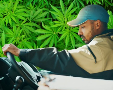 marijuana delivery driver rules