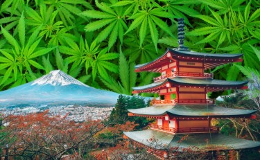 Japón cambia las leyes sobre el cannabis.